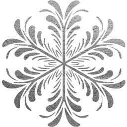 snowflake 17 icon