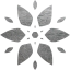 snowflake 23