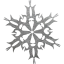 snowflake 30