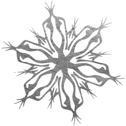 snowflake 4 icon