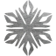 snowflake 44