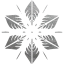 snowflake 5