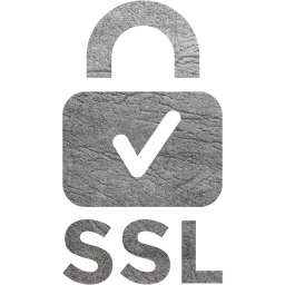 ssl badge 2 icon