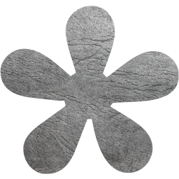 star 19 icon