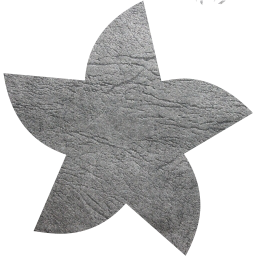 star 21 icon