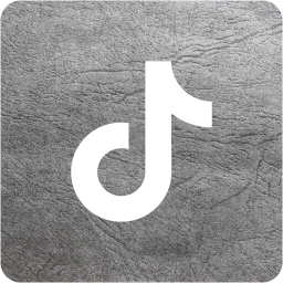 tiktok 2 icon