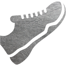 trainers icon