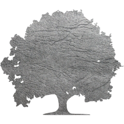 tree 22 icon