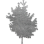 tree 25