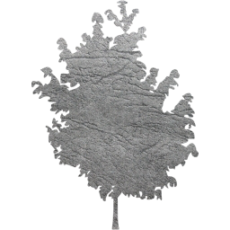 tree 25 icon