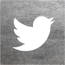 twitter 2 icon