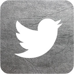 twitter 3 icon