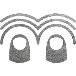 two finger triple tap icon