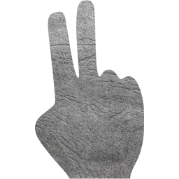 two fingers icon