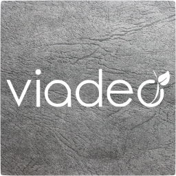 viadeo 4 icon