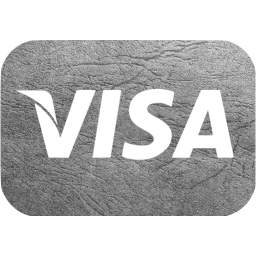visa icon