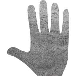 whole hand icon