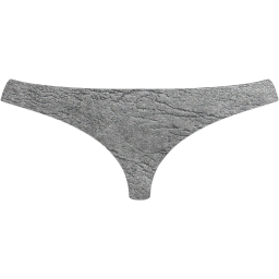 womens underwear icon