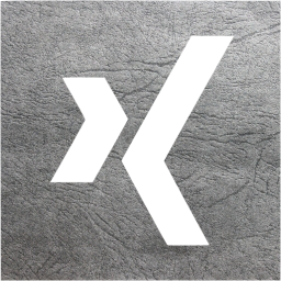 xing 2 icon