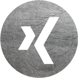 xing 4 icon
