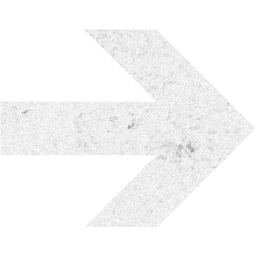 arrow 21 icon