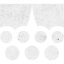 audience