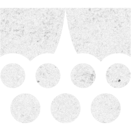 audience icon