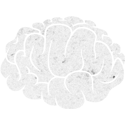 brain 2 icon