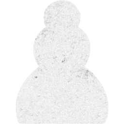 chess 19 icon