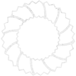 christmas 14 icon