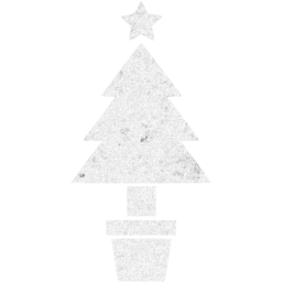 christmas 19 icon