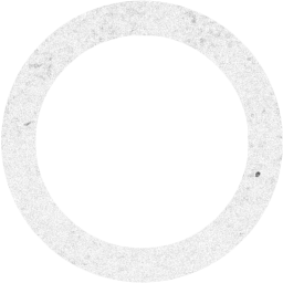 circle outline icon
