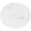 ellipse
