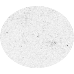 ellipse icon