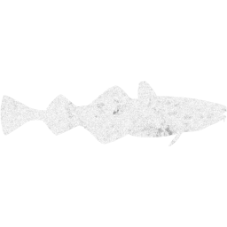 fish 4 icon