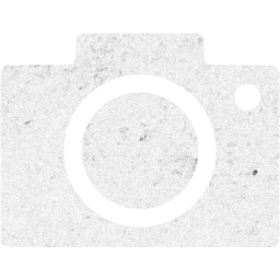 google images icon