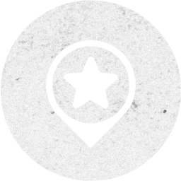 google place optimization 2 icon
