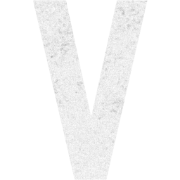 letter v icon