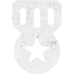 medal 3 icon