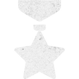 medal icon