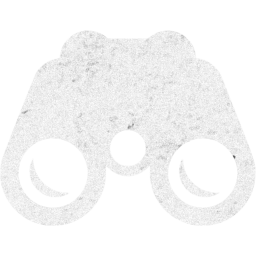 opera glasses icon
