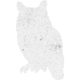 owl icon