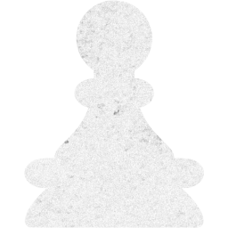 pawn icon