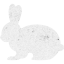 rabbit 2