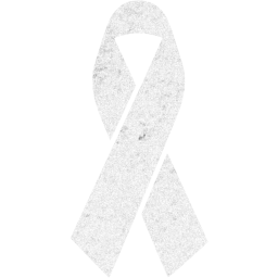 ribbon 17 icon