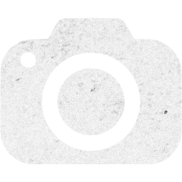 screenshot icon