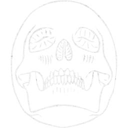 skull 29 icon