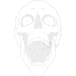 skull 65 icon