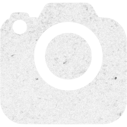 slr camera 2 icon