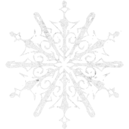 snowflake 10 icon
